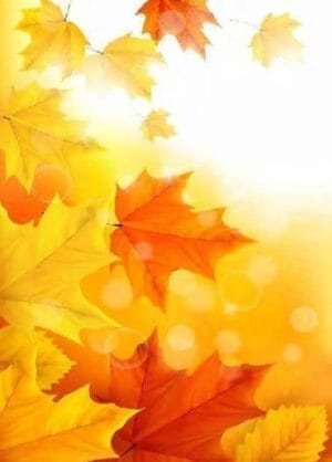 Ayodhyakand-2 (Ramcharit Manas)