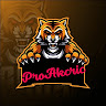 Pro Akcric
